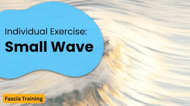 Individual Exercise: Small Wave