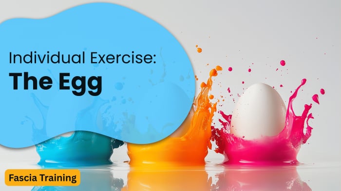 Individual Exercise: The Egg
