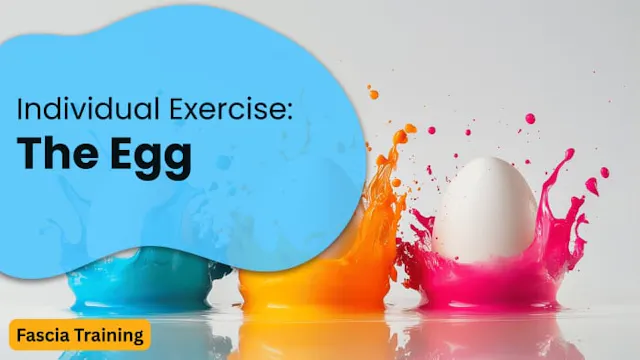 Individual Exercise: The Egg