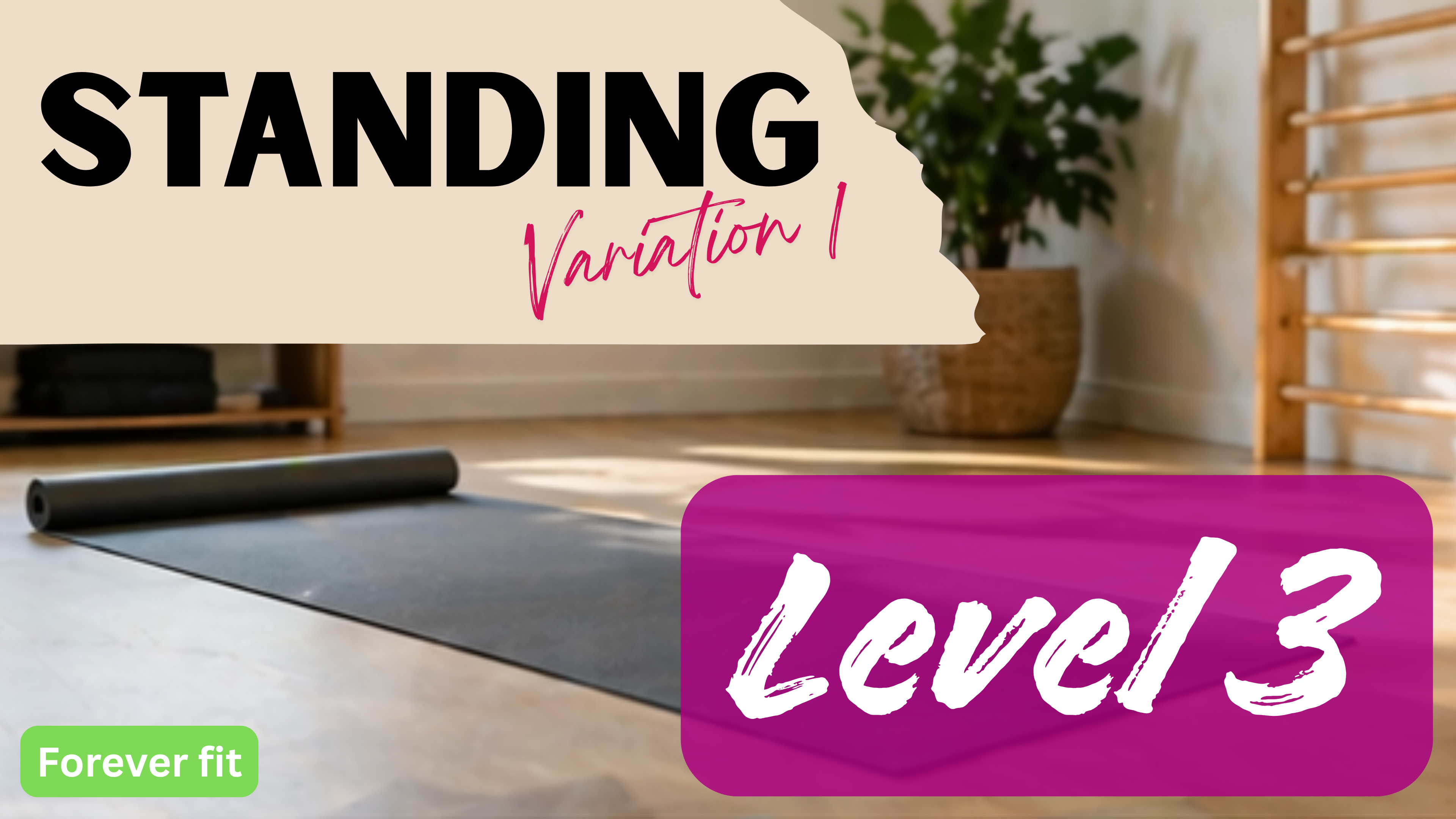 Forever Fit: Standing Variation 1 - Level 3