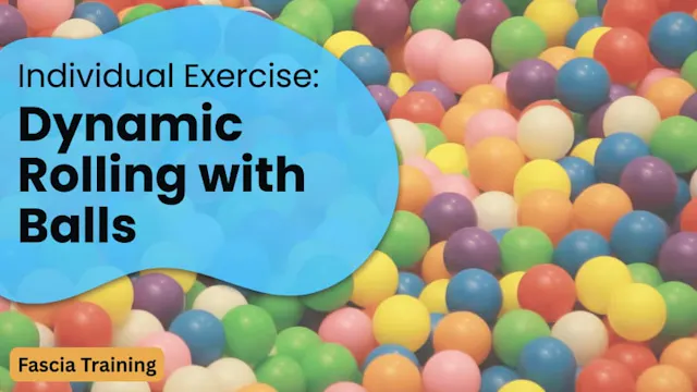 Individual Exercise: Dynamic Rolling ...