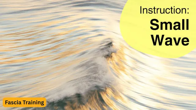 Instruction: Small Wave