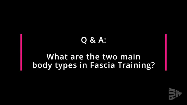 What are the 2 Main Body Types In Fas...