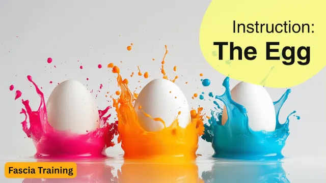 Instruction: The Egg