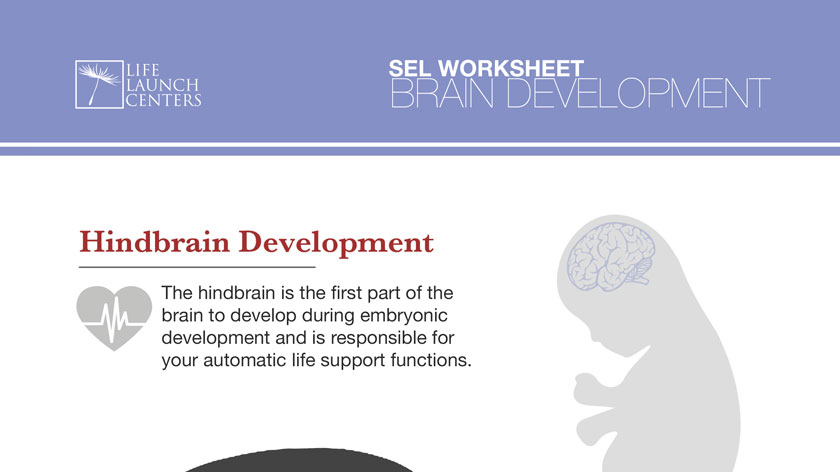 02-HindbrainDevelopment.pdf