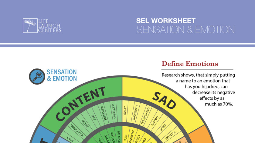 07-DefineEmotions.pdf