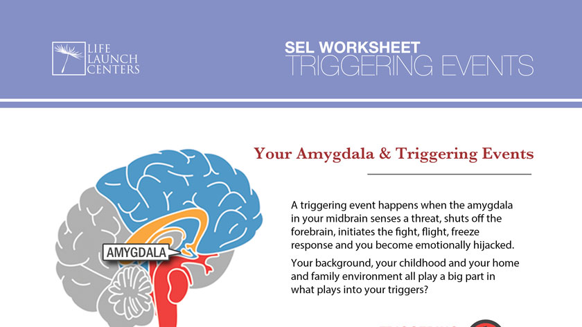04-YourAmygdala.pdf