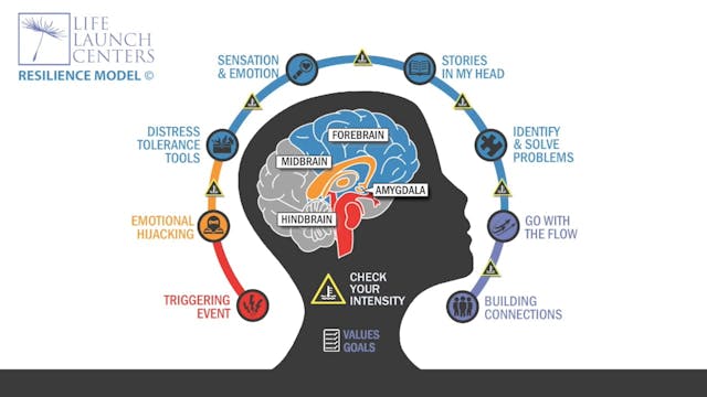 Anxiety & Depression / Intro to the Life Launch Centers Resilience Model© Introduction