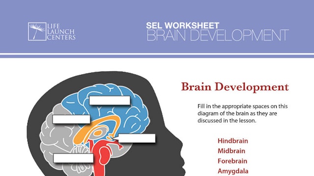 02a-BrainDevelopment.pdf