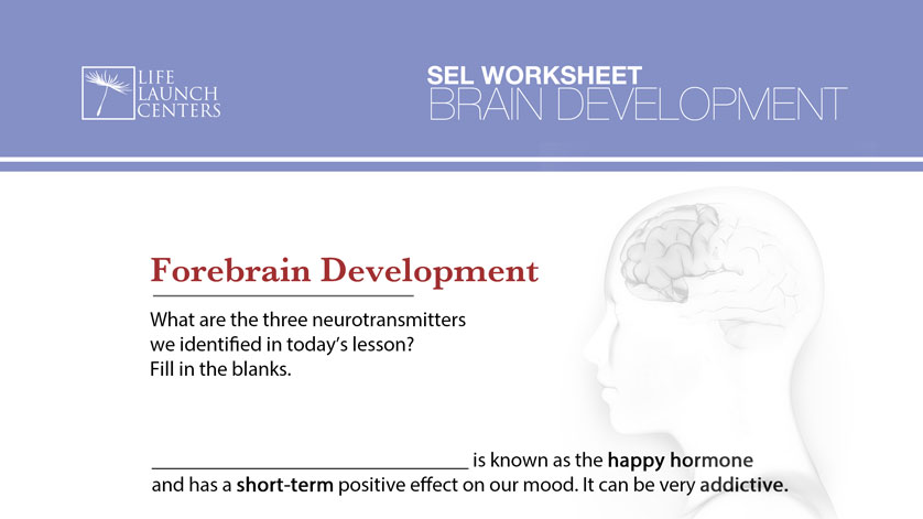 02-ForebrainDevelopment.pdf