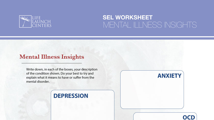 11-MentalIllnessInsights.pdf