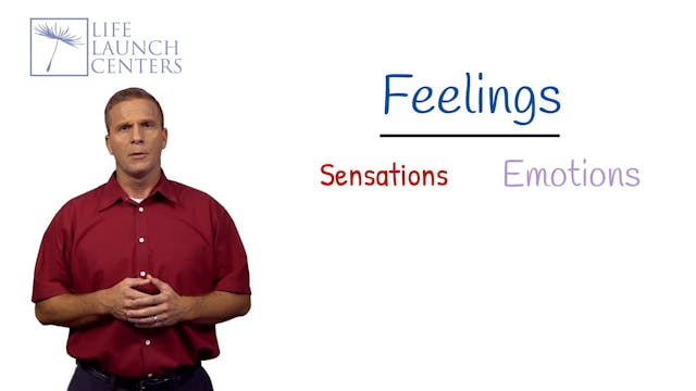 LLC-03-Sensations & Emotions.m4v