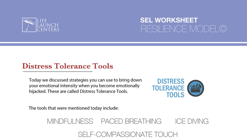 03-DistressToleranceTools.pdf