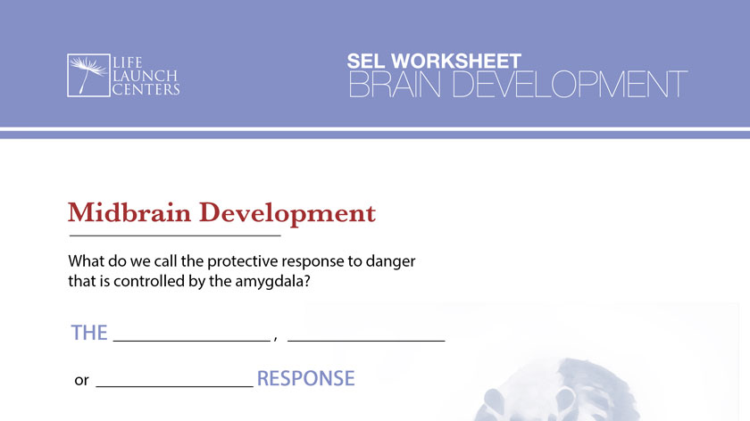 02-MidbrainDevelopment.pdf