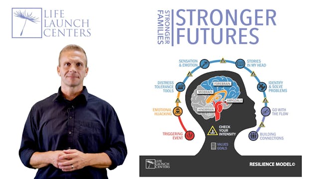 Intro to the Life Launch Centers Resilience Model©