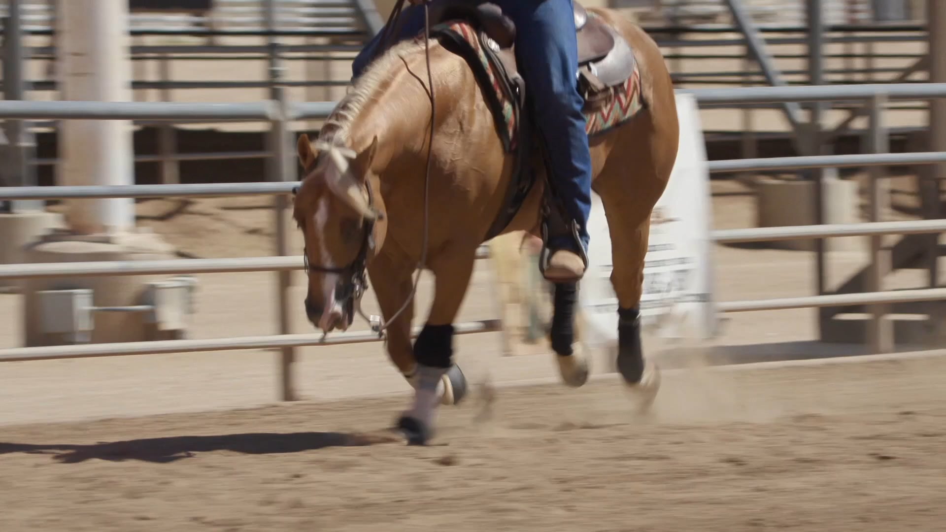 The Road to the Futurity - Episode 5