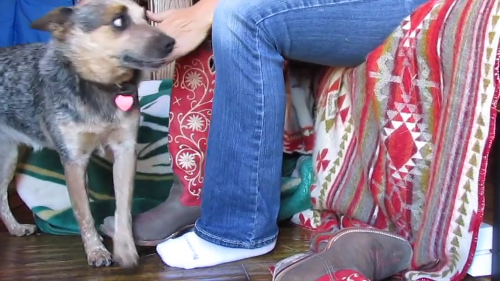 Chapter 4 - Shine Bright