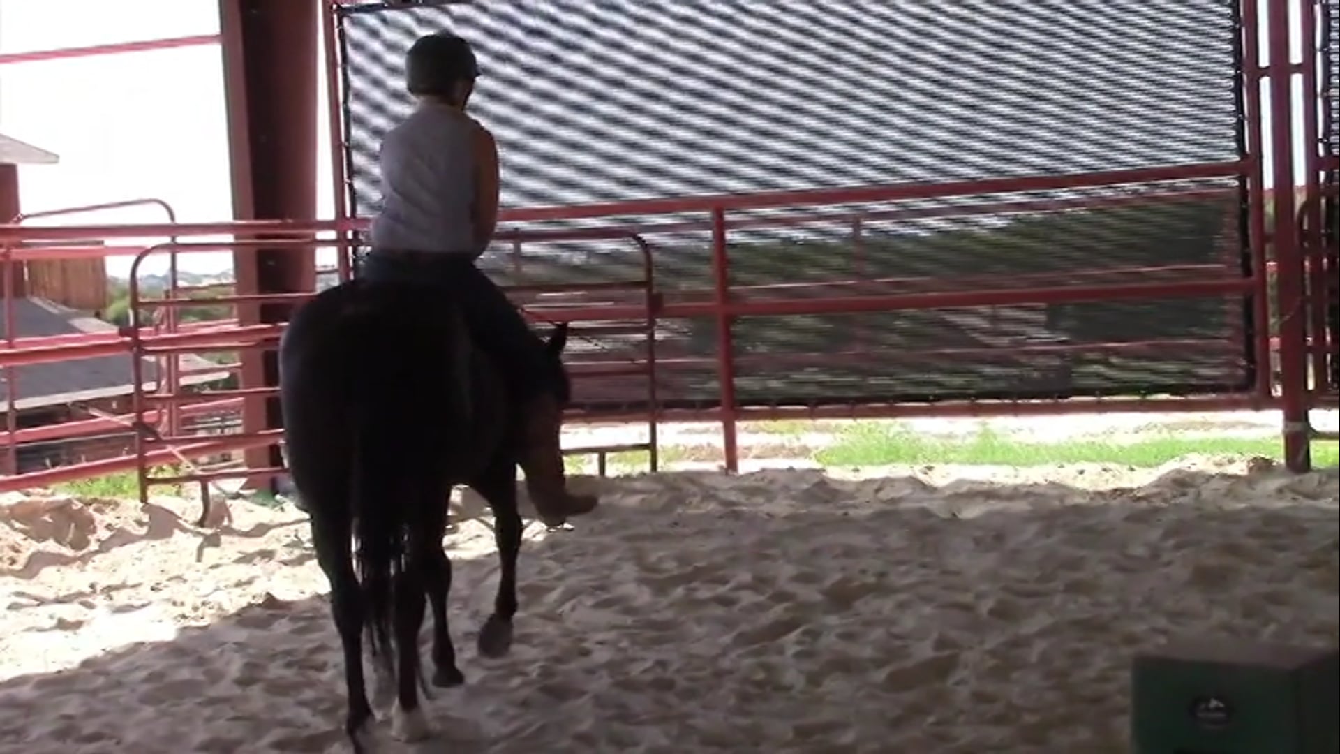 Chapter 7 - The Show Must Go On