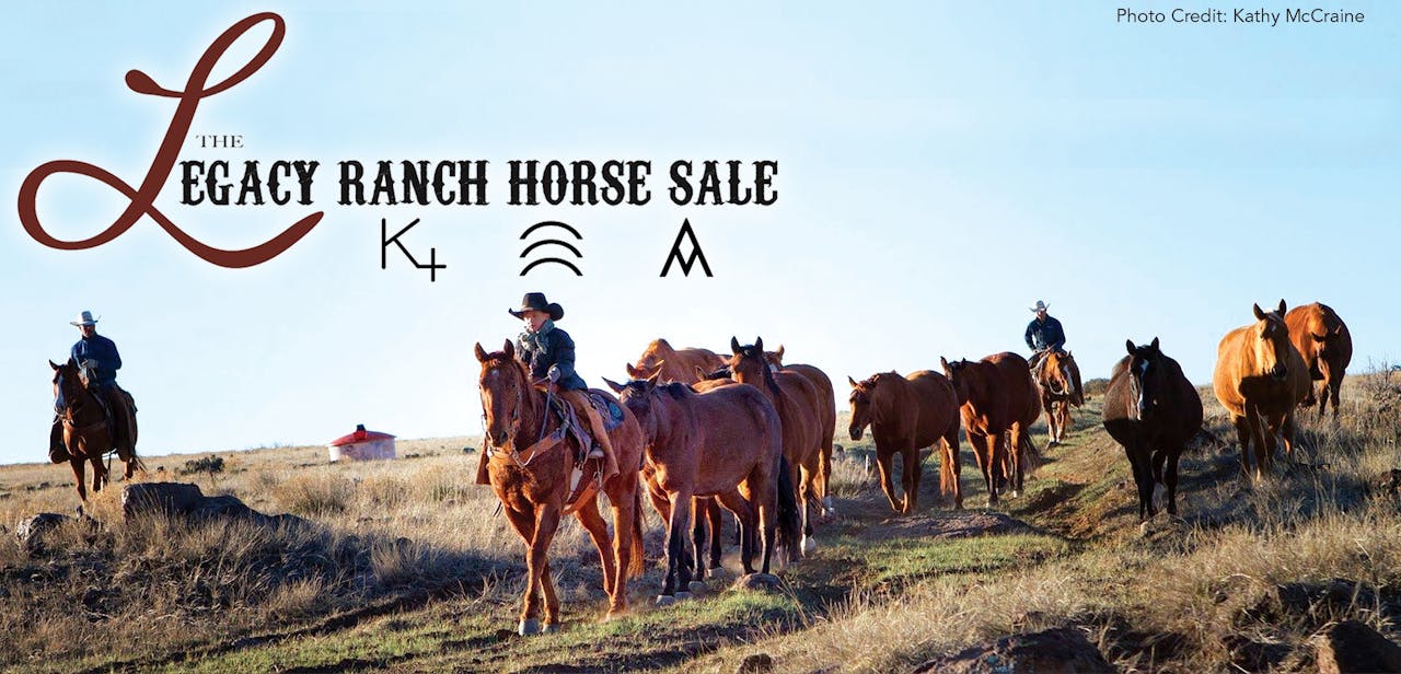 The Legacy Ranch Horse Sale - Lifestyle TV