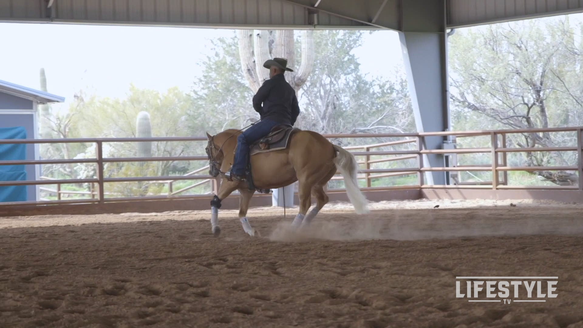 The Road to the Futurity - Episode 2