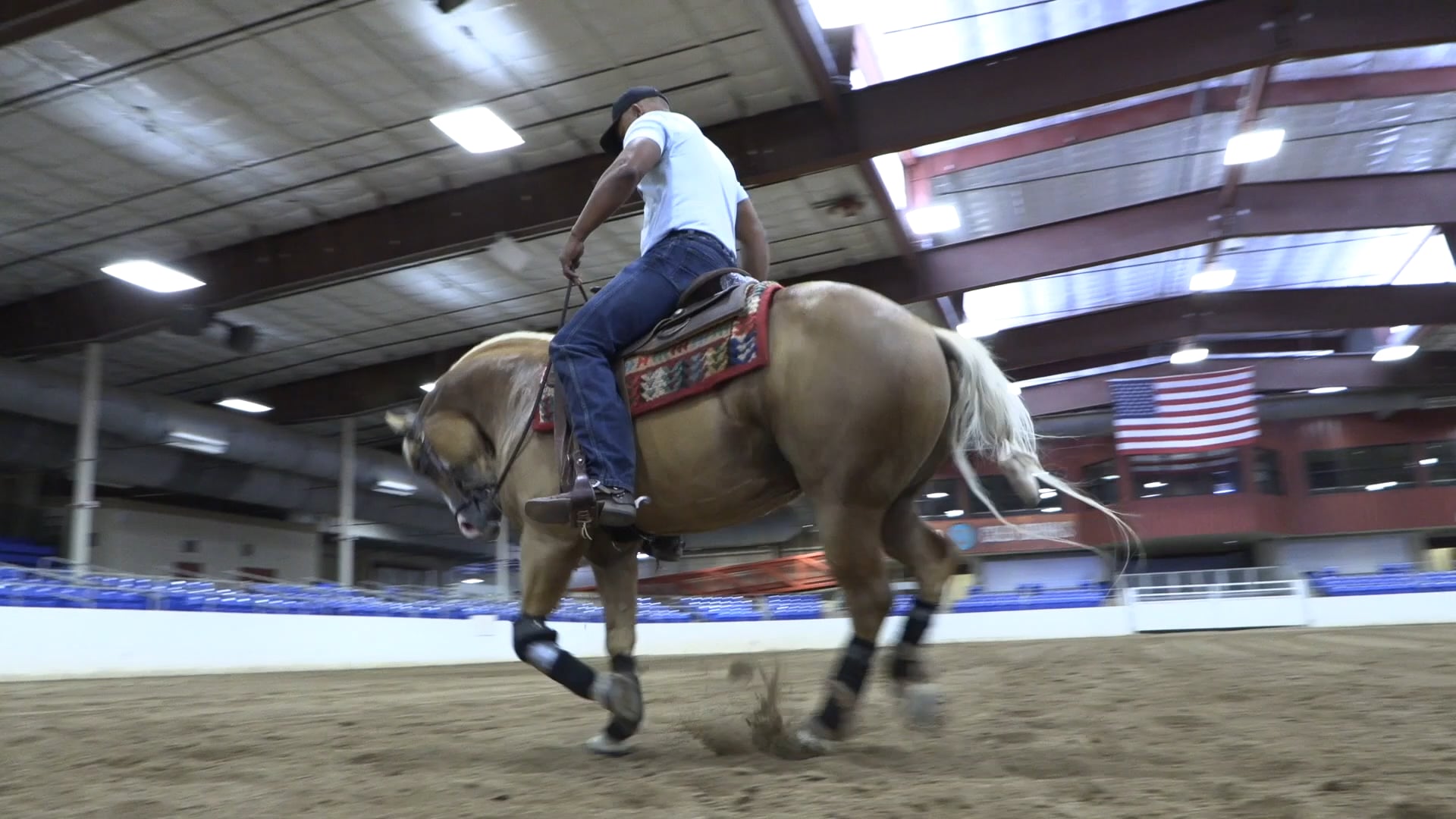 The Road to the Futurity - Episode 4