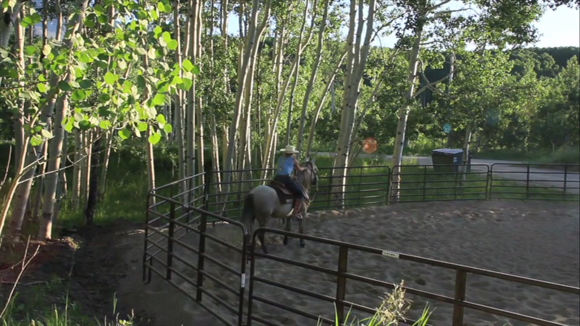 Chapter 3 - Dare to Dream