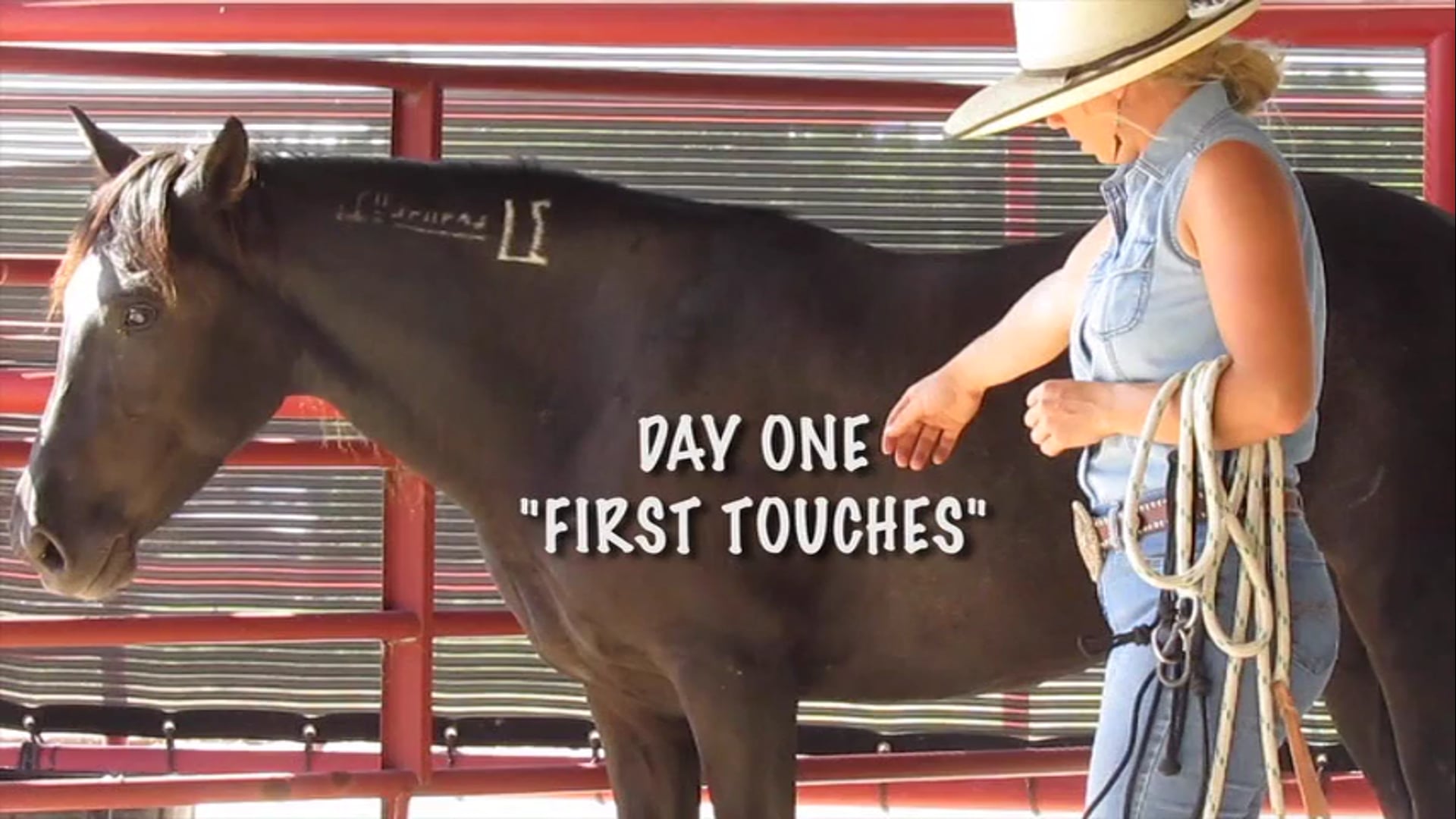 Chapter 2 - First Touches