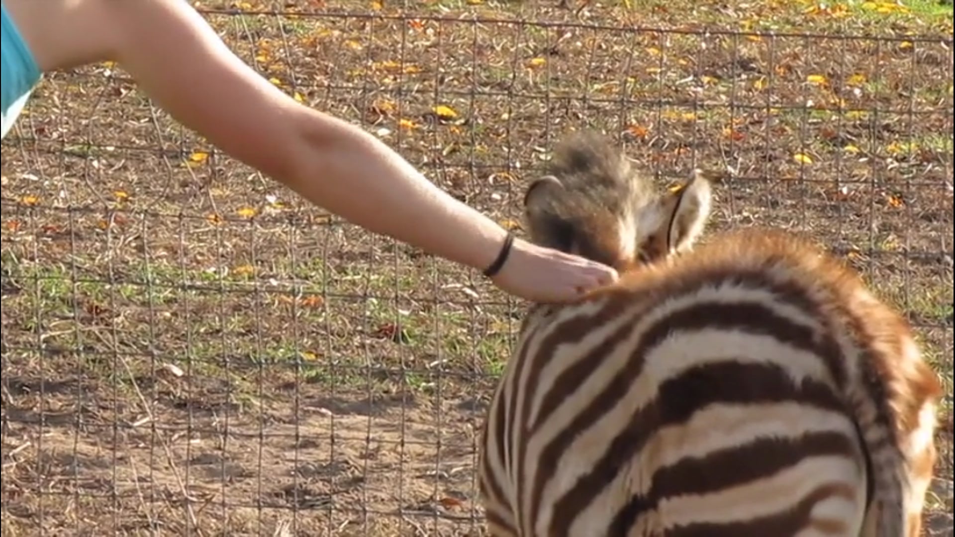 Chapter 10 - Happily Ever After