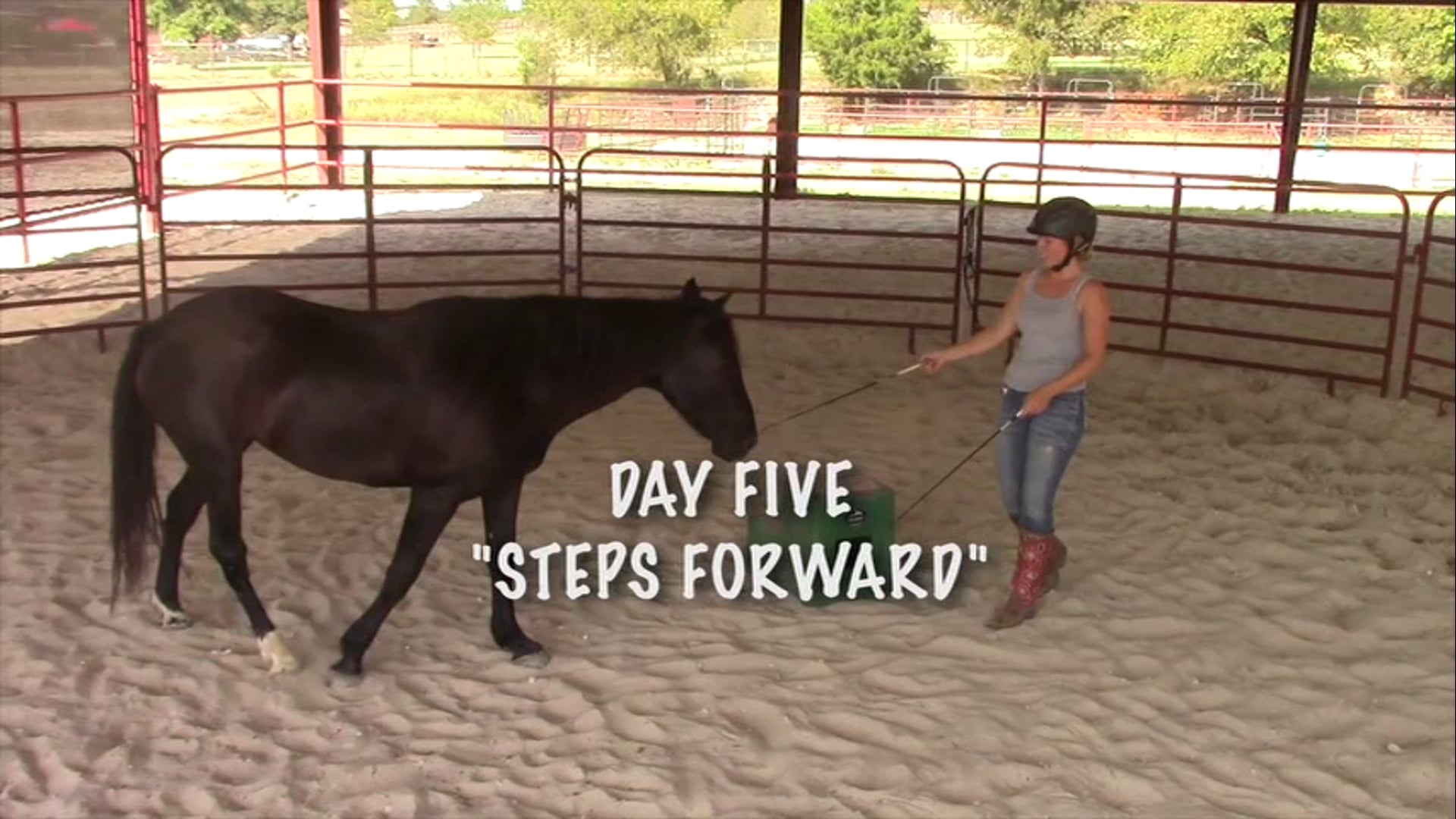 Chapter 5 - Steps Forward