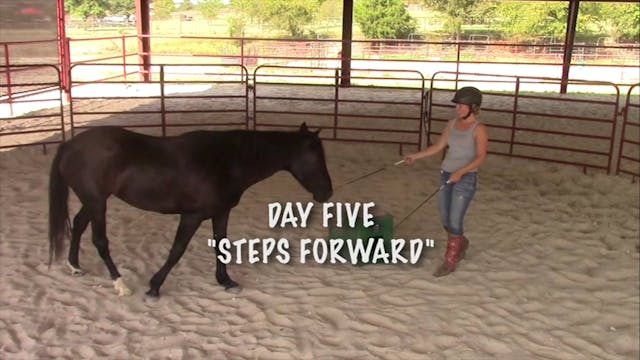 Chapter 5 - Steps Forward