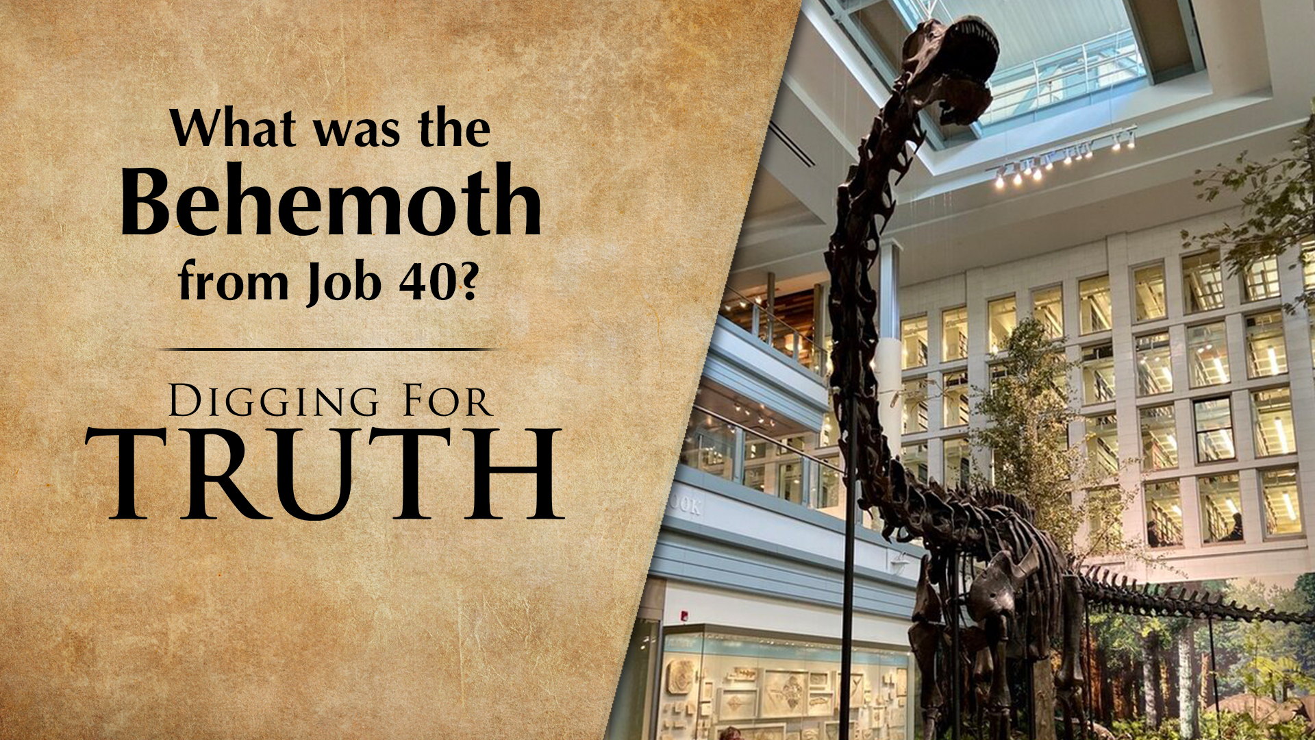 What Was the Behemoth from Job 40?