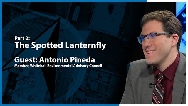 Face the Issues: The Spotted Lanternf...