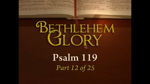 Psalm 119 (Part 12/25): Bethlehem Glory