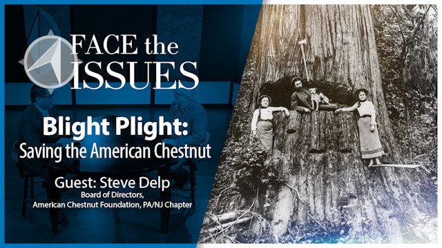 Saving the American Chestnut : Face the Issues