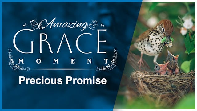 Precious Promise: Amazing Grace Moment