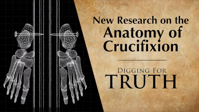 New Research on the Anatomy of Crucif...