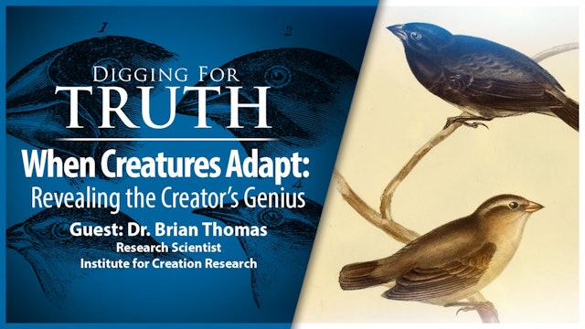 When Creatures Adapt : Digging for Truth