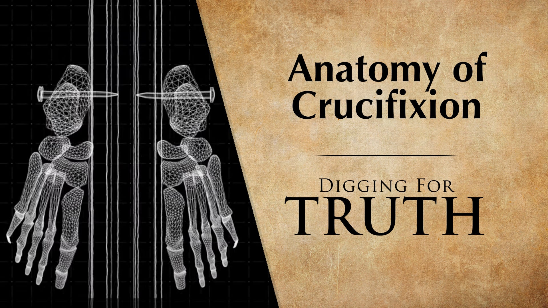 Anatomy of Crucifixion