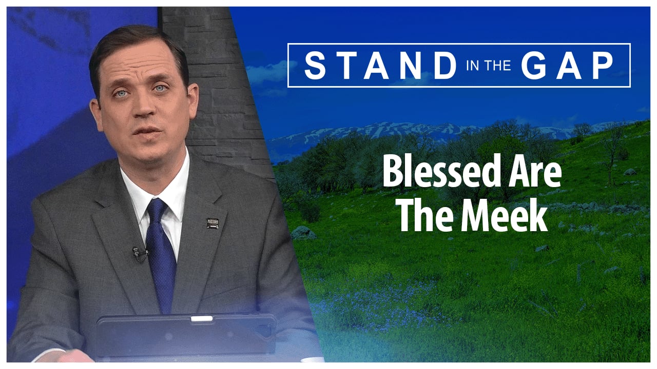 Blessed are the Meek