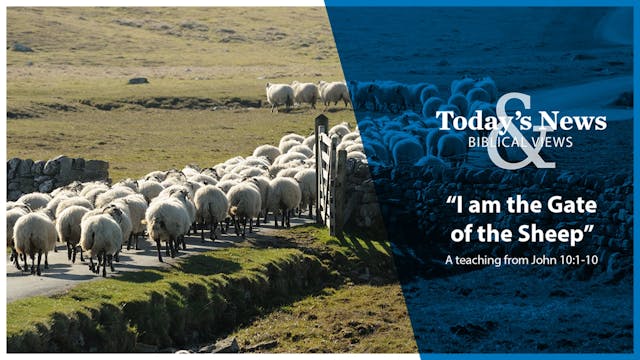 I am the Gate of the Sheep : Today's ...
