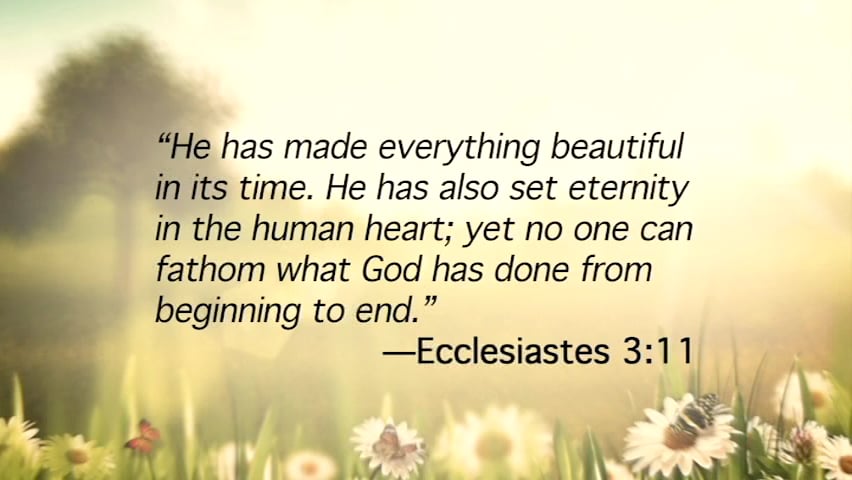 Transformed Living: Integrating God's Design for Authentic Change and Growth