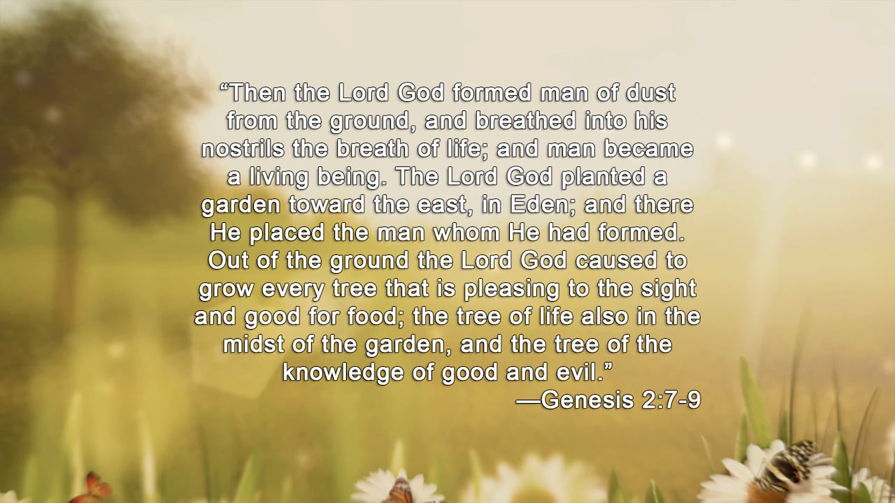 Strategic Design: The Image of God