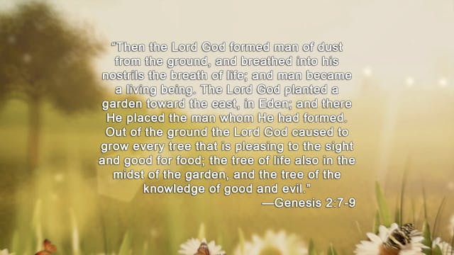 Strategic Design: The Image of God