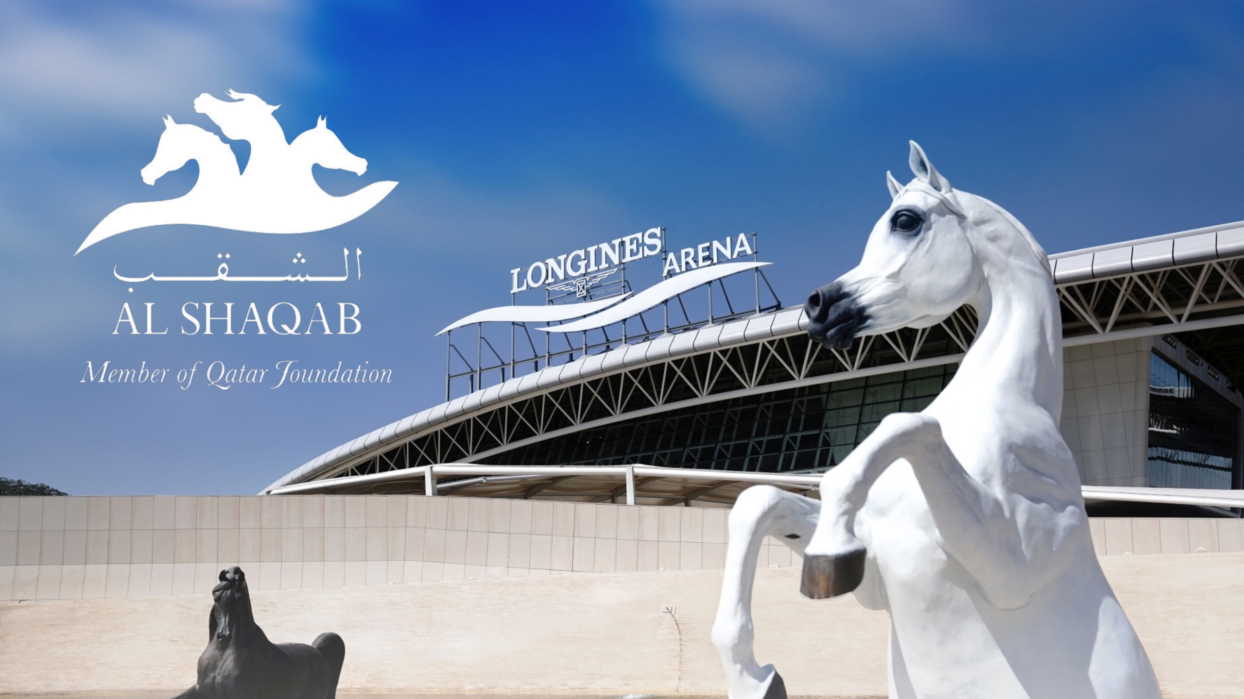 El mundo equino de Qatar 