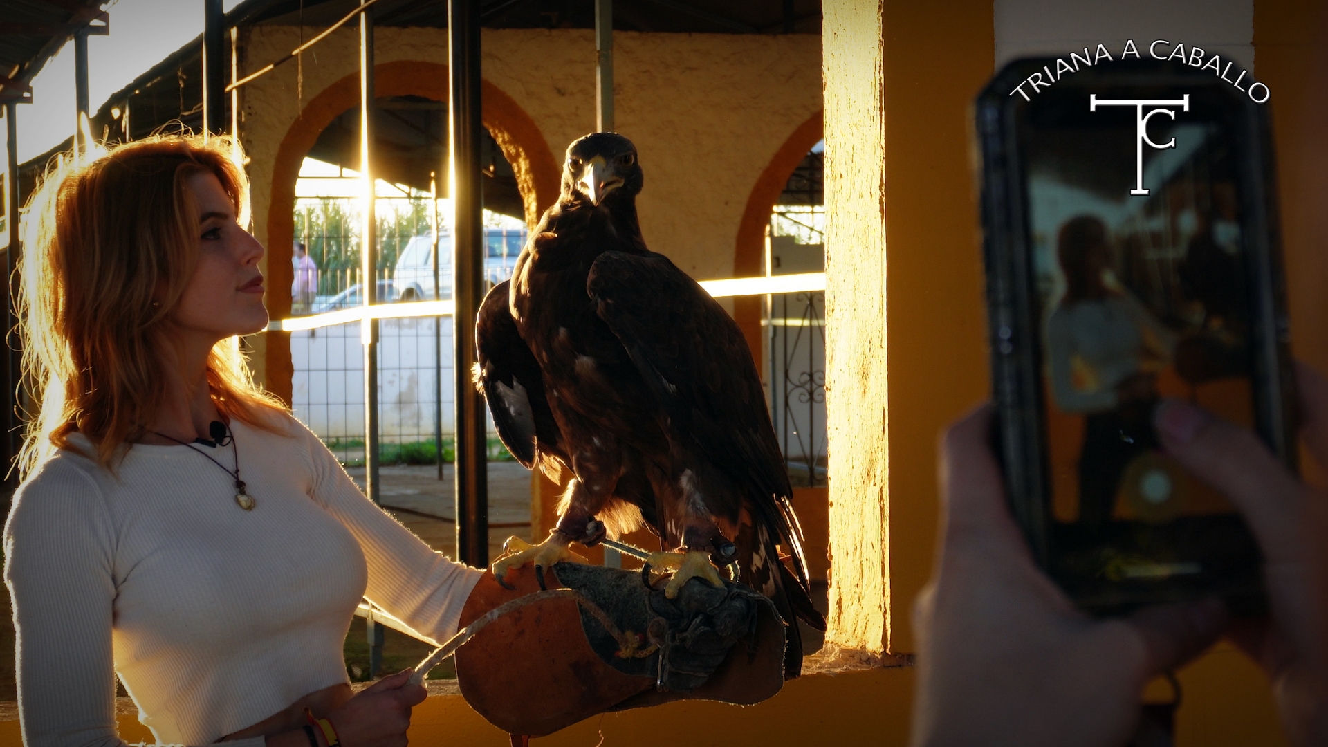 FERIA CINEGETICA DE GUILLENA 