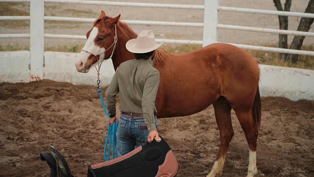 Iniciación de Potros - parte 2