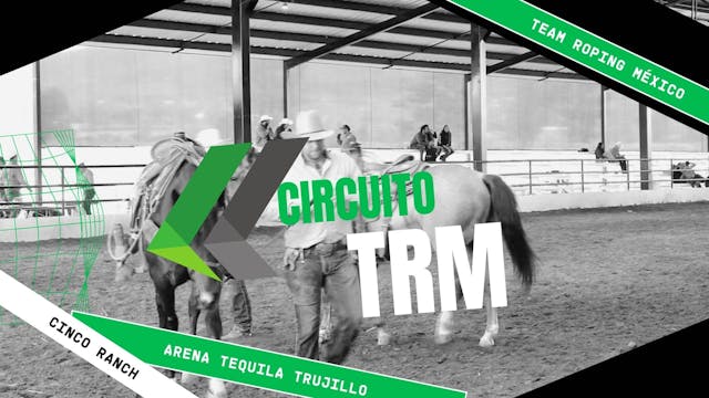 TRM fecha #9