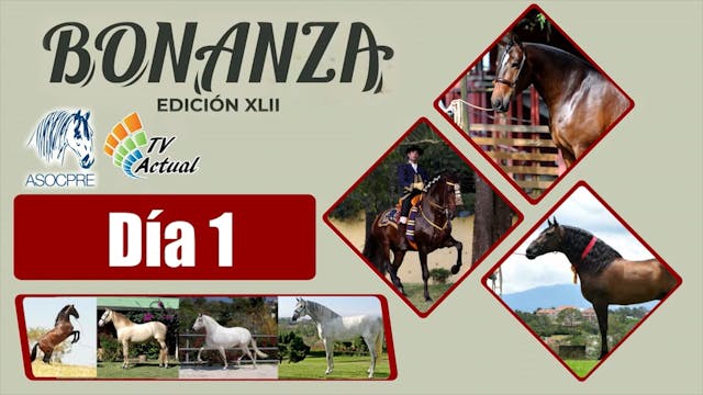 Día 1 -Bonanza XLII