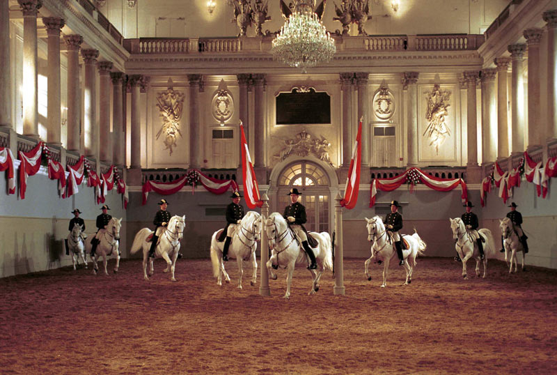 SEMENTALES LIPIZZANOS EN VIENA