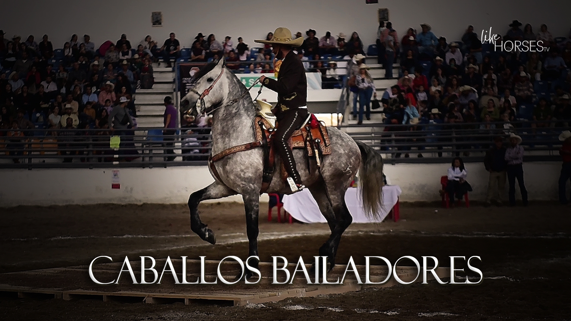 CABALLOS BAILADORES
